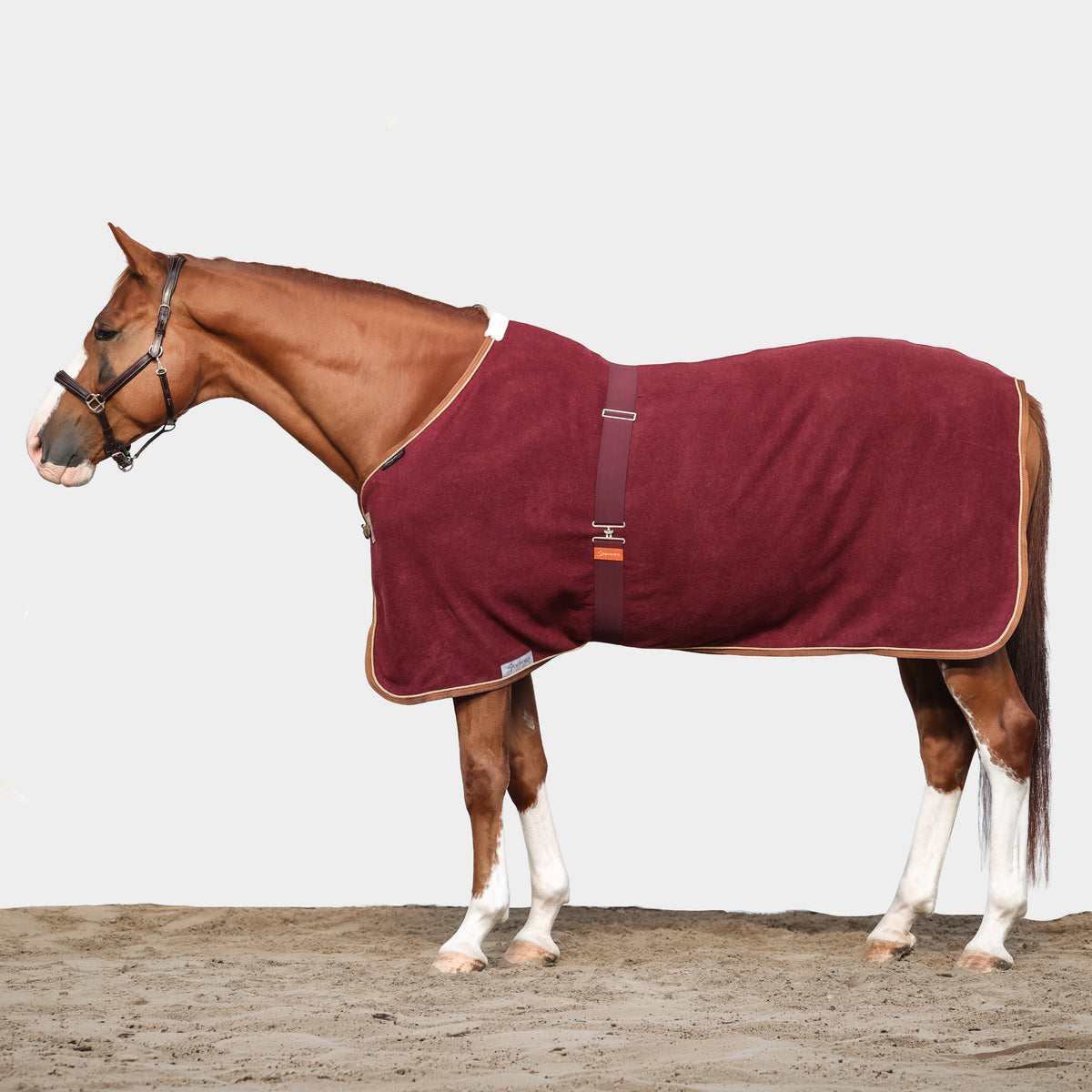 Dominick Wool Rug Iconic