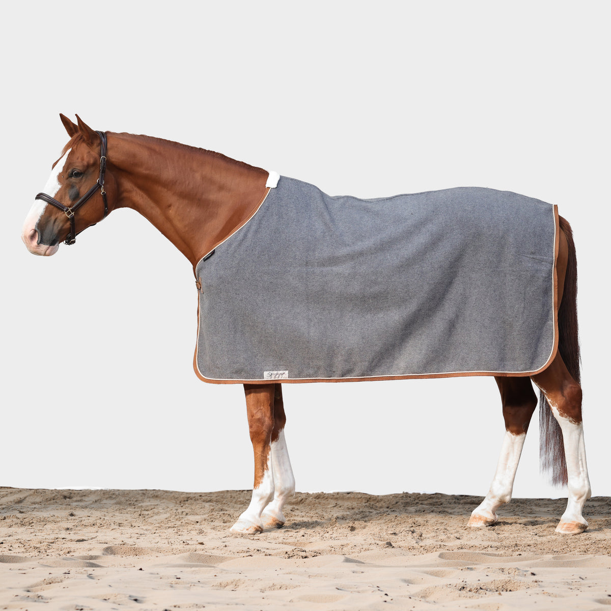 Dominick Wool Rug Iconic