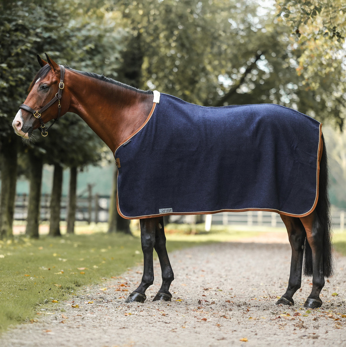 Dominick Wool Rug Iconic
