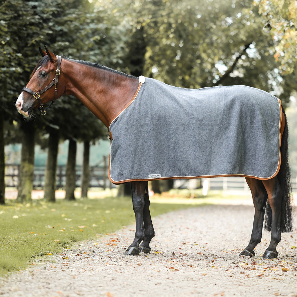 Dominick Wool Rug Iconic